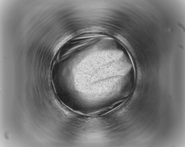 X0000099540850200805301459