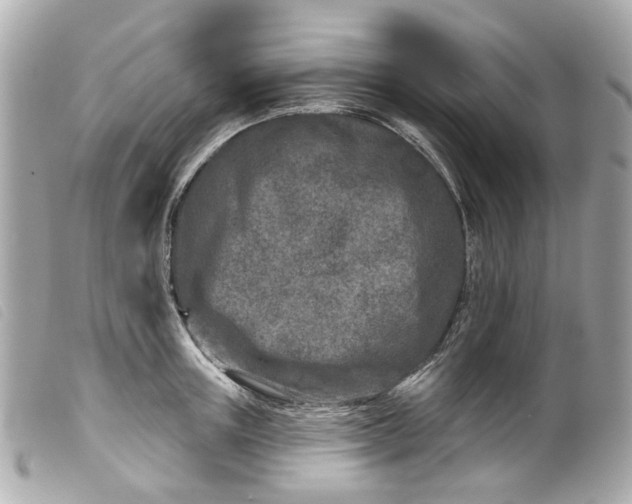 X0000099540851200805301459