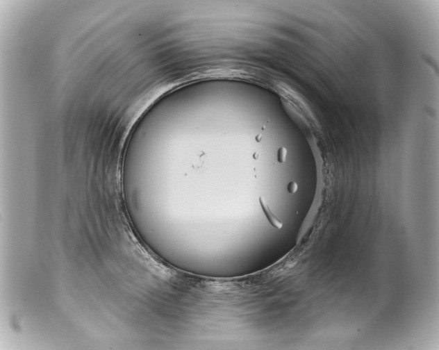 X0000099540852200805301459