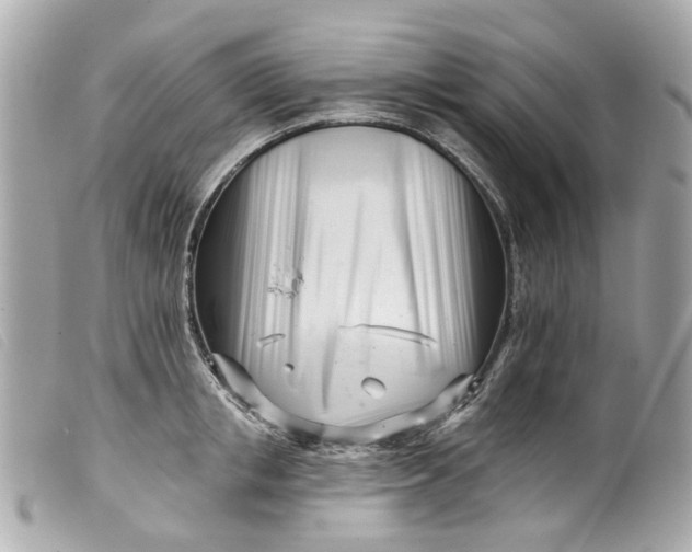 X0000099540853200805301459