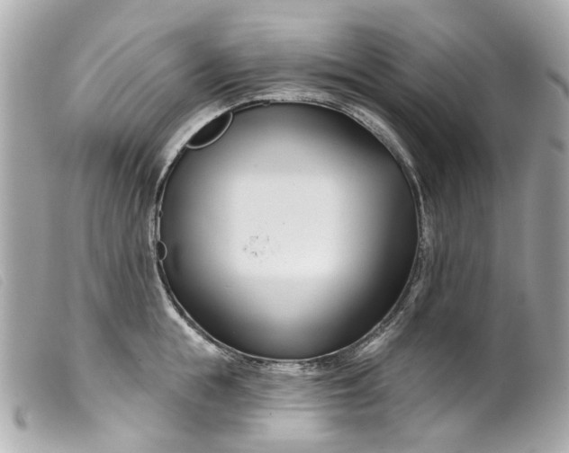 X0000099540855200805301459