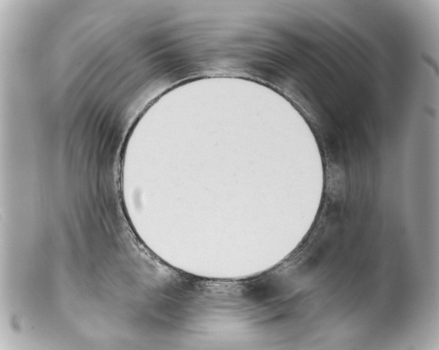 X0000099540856200805301459