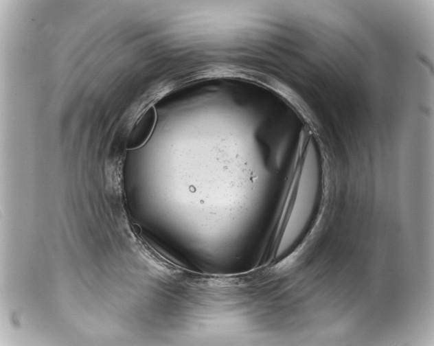 X0000099540857200805301459