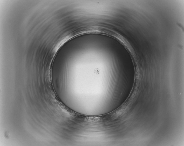 X0000099540858200805301459