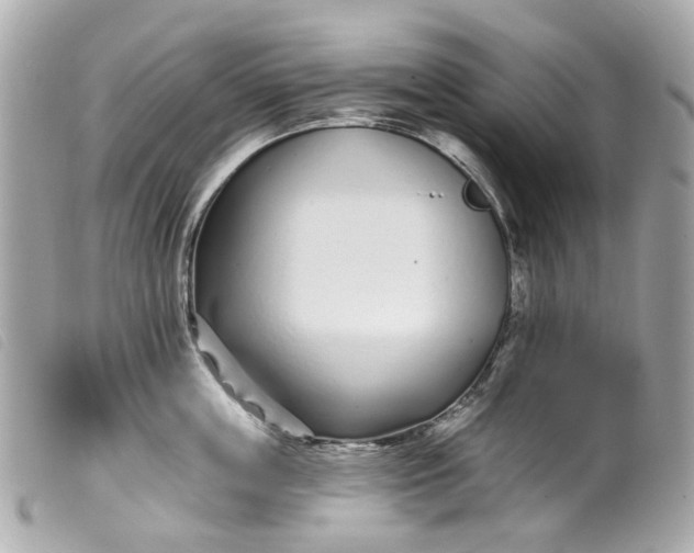 X0000099540859200805301459