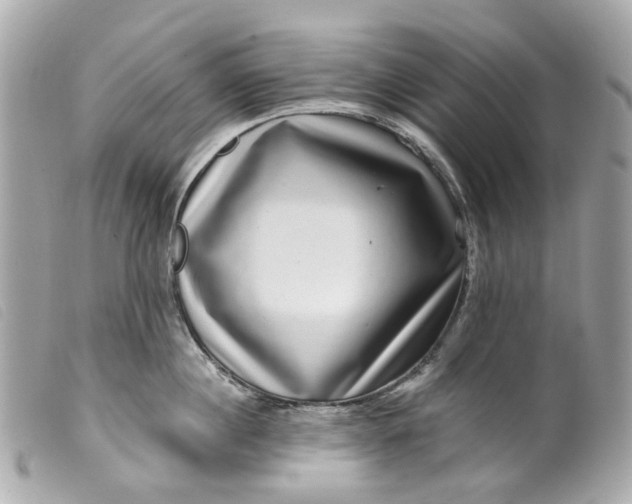 X0000099540860200805301459