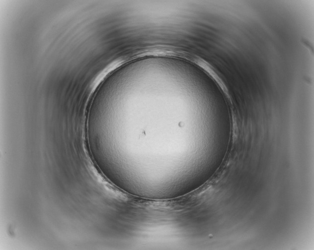 X0000099540861200805301459