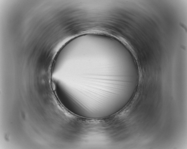 X0000099540862200805301459