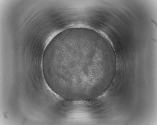 X0000099540863200805301459