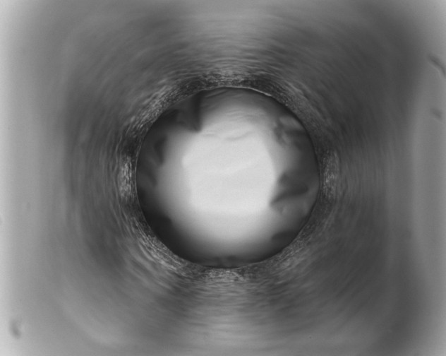 X0000099540866200805301458