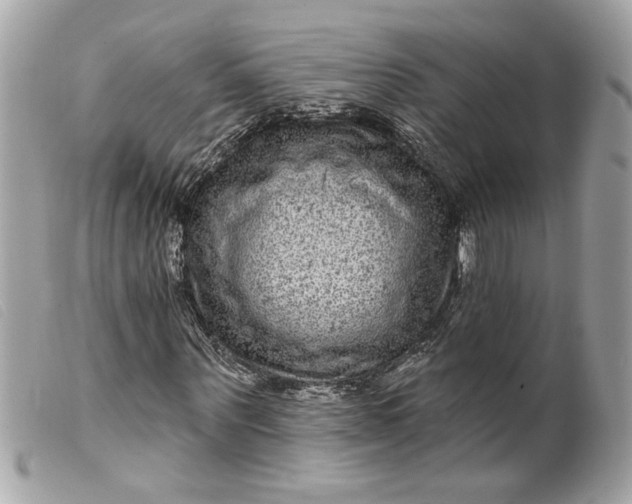 X0000099540867200805301458