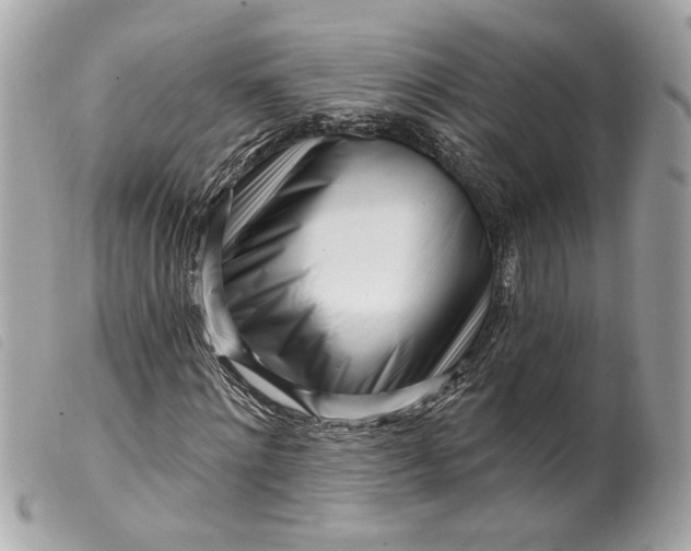 X0000099540868200805301458