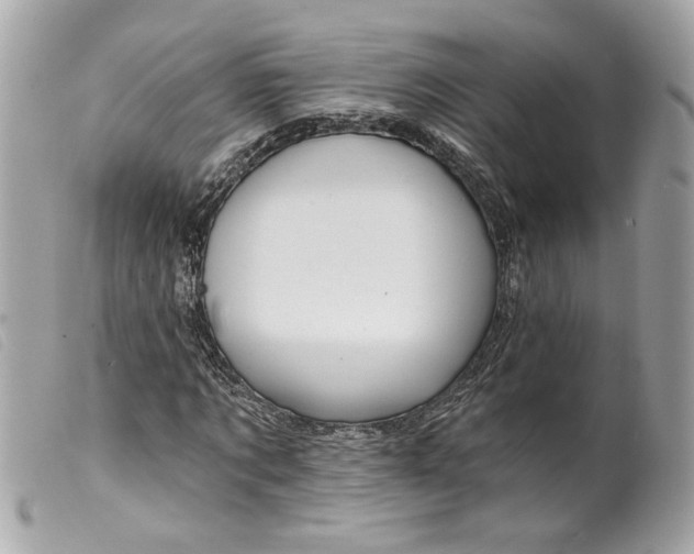 X0000099540869200805301458