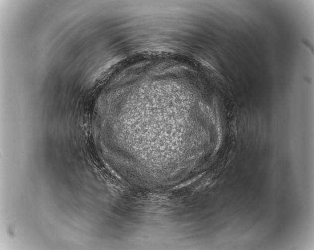 X0000099540870200805301458