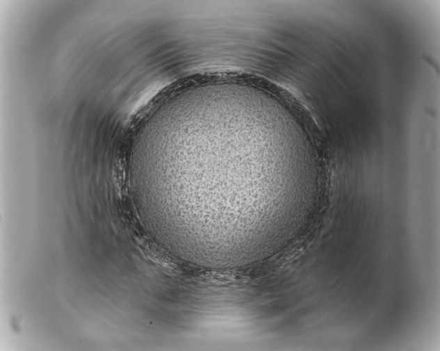 X0000099540871200805301458