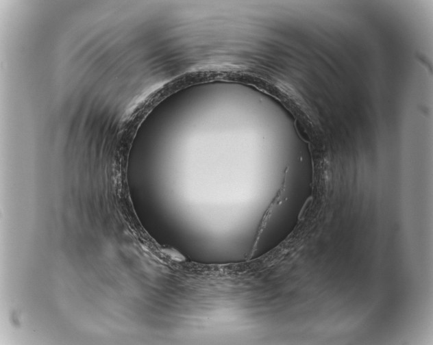 X0000099540872200805301458