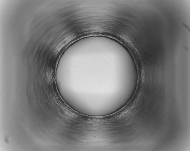 X0000099540873200805301458