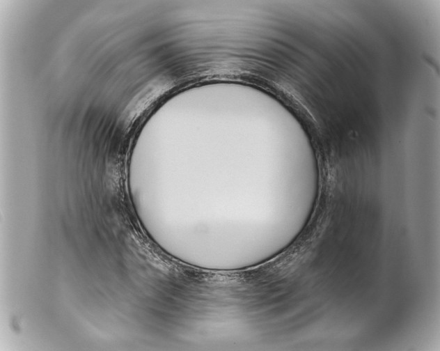 X0000099540874200805301458