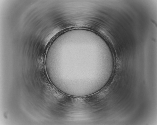 X0000099540875200805301458