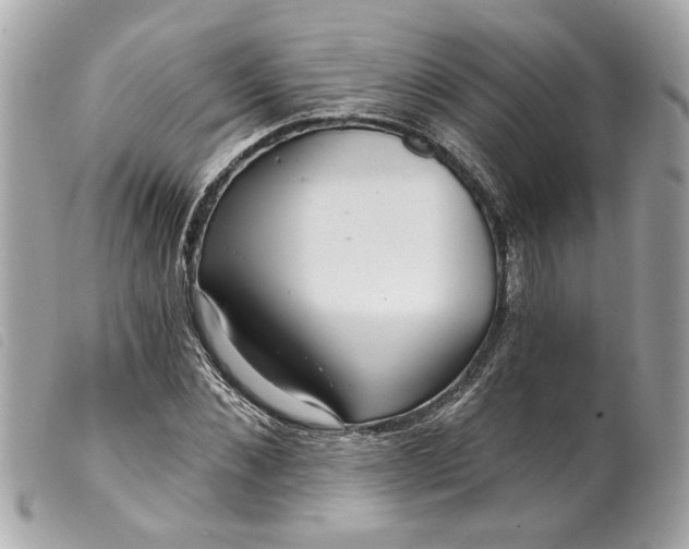 X0000099540876200805301458