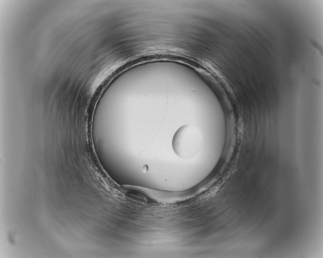 X0000099540877200805301458