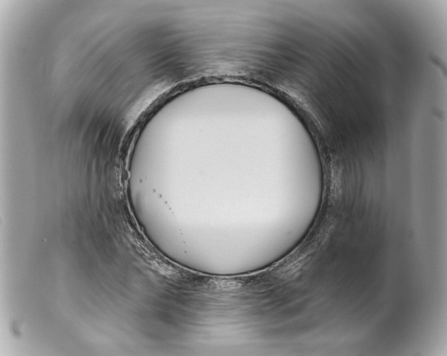 X0000099540878200805301458