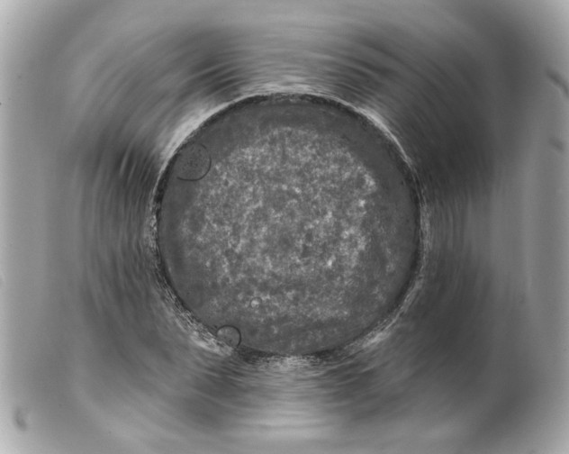 X0000099540879200805301458