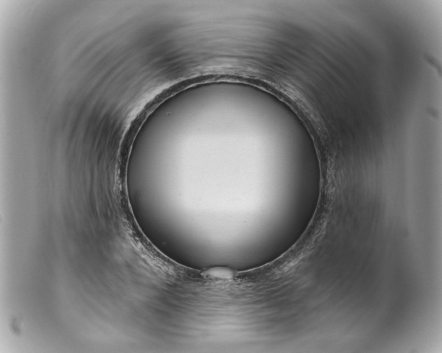 X0000099540880200805301458