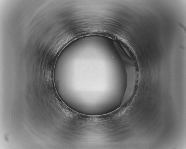 X0000099540881200805301458