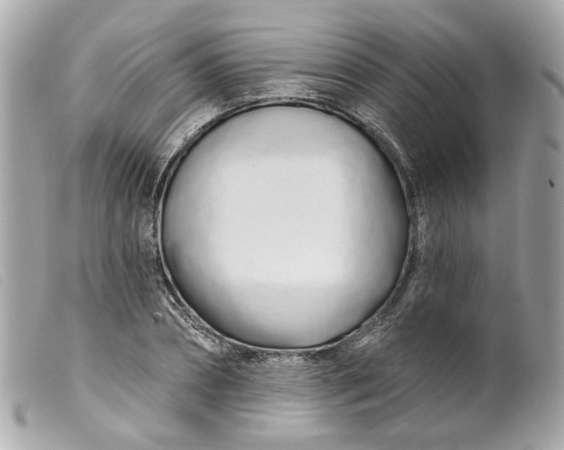 X0000099540882200805301458