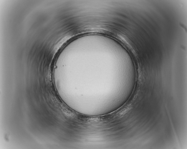 X0000099540883200805301458