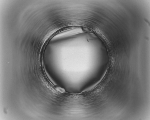 X0000099540884200805301458