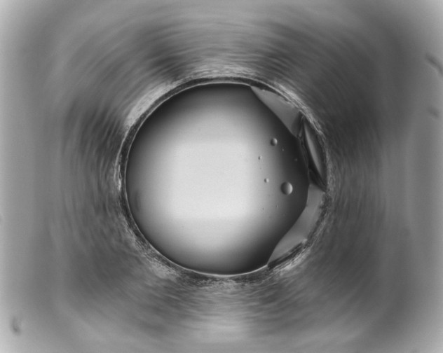 X0000099540885200805301458