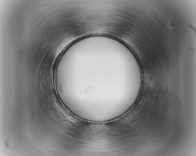 X0000099540886200805301458