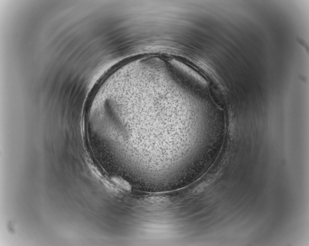 X0000099540888200805301458