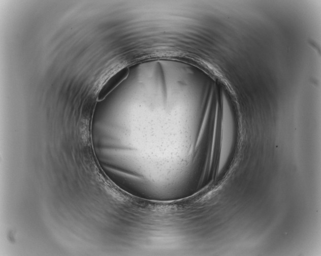 X0000099540889200805301458