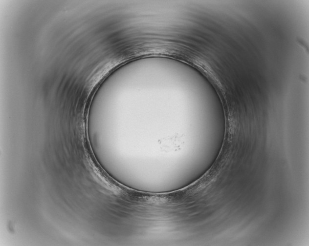 X0000099540890200805301458