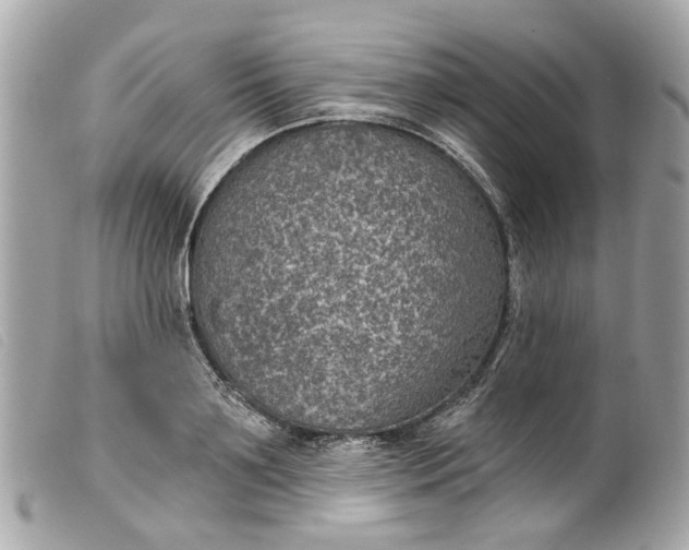 X0000099540891200805301458