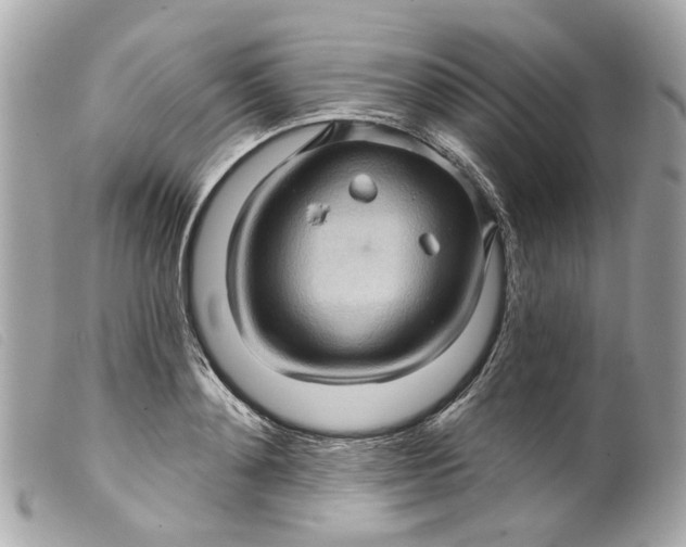 X0000099540892200805301458