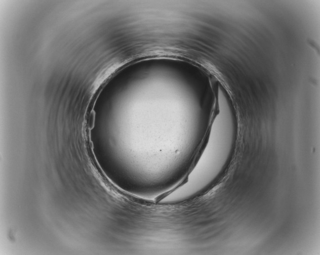 X0000099540893200805301458