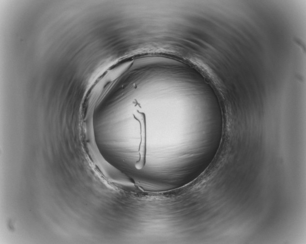 X0000099540894200805301458