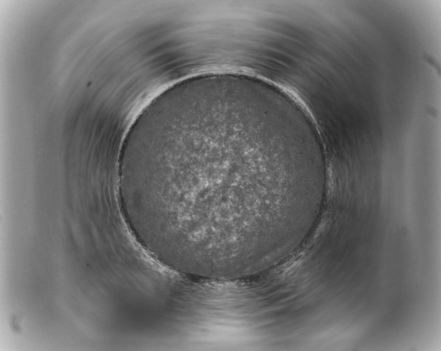 X0000099540895200805301458