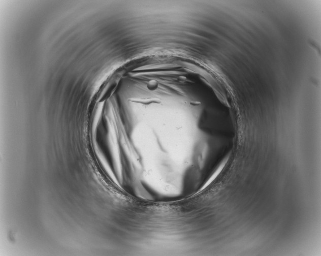 X0000099540896200805301458