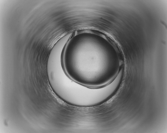 X0000099540897200805301458