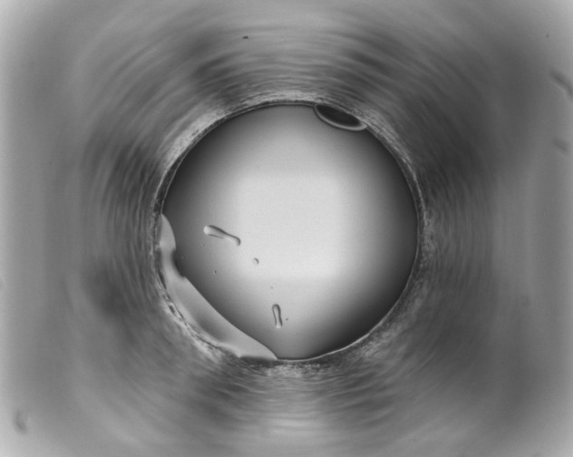 X0000099540898200805301458