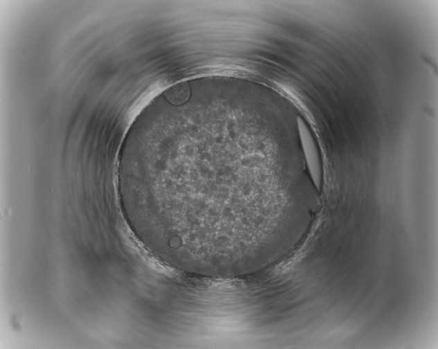 X0000099540899200805301458