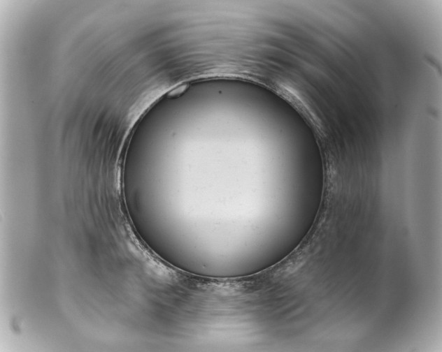 X0000099540900200805301458