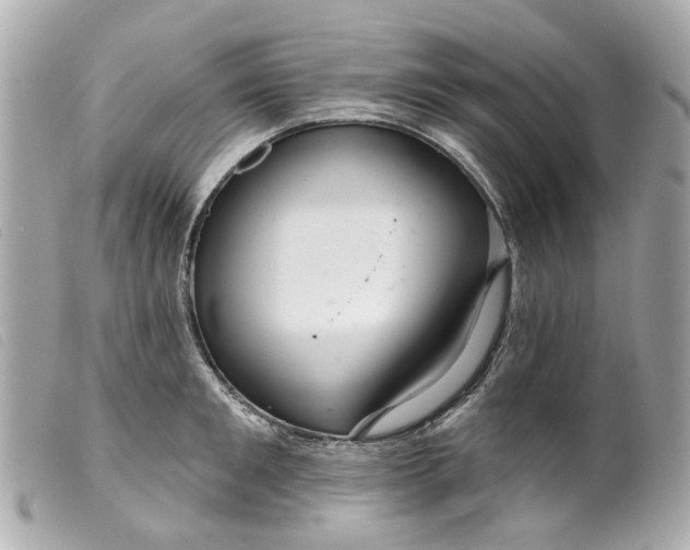 X0000099540901200805301458