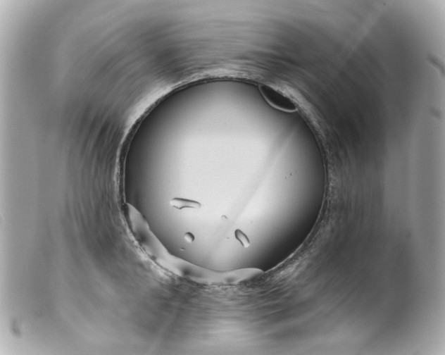 X0000099540902200805301458