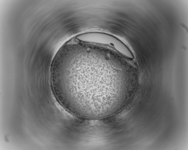 X0000099540903200805301458